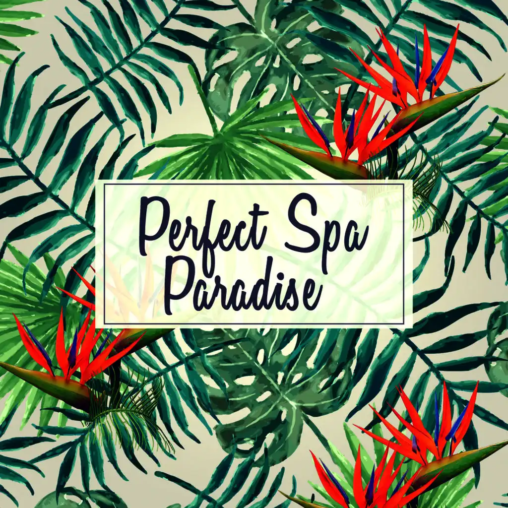 Perfect Spa Paradise