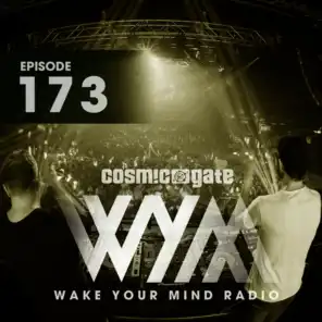 The Tube (WYM173) (Matan Caspi Remix)