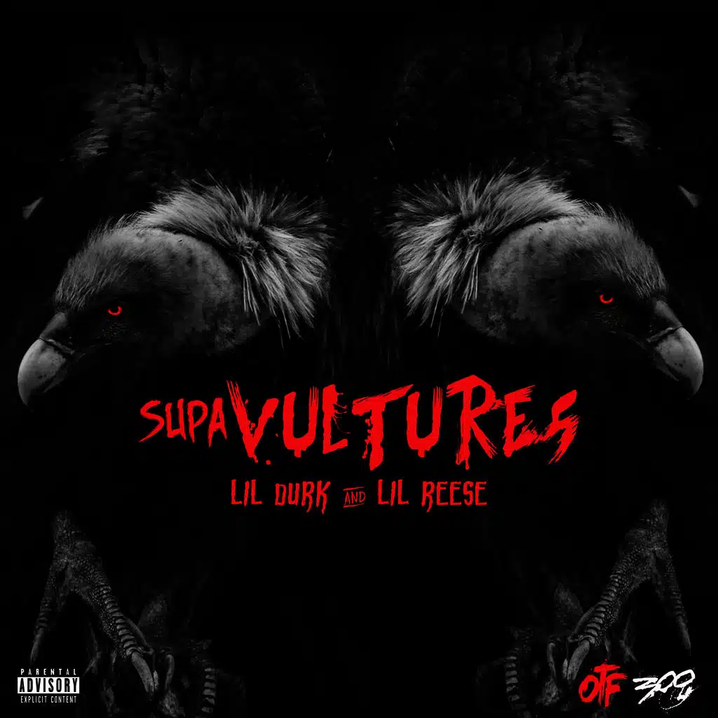 Supa Vultures - EP