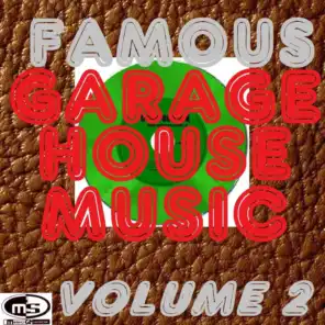 Famous Garage House Music, Vol. 2 (DJ Megamix)