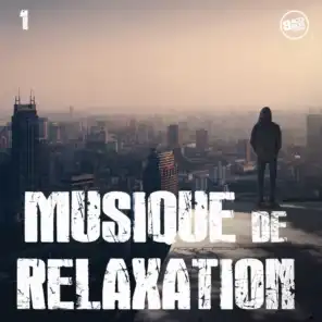 Musique de Relaxation, Vol. 1