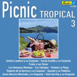 Picnic Tropical 3