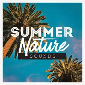 Nature Sound Collection, Sleep Sounds of Nature, Sons da Natureza