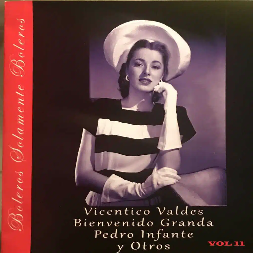 Boleros Solamente Boleros, Vol. 11