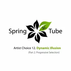 Artist Choice 012. Dynamic Illusion, Pt. 2 (Progressive Selection)