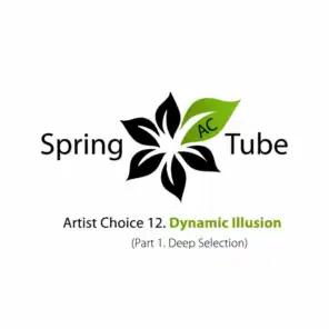 Artist Choice 012. Dynamic Illusion, Pt. 1 (Deep Selection)