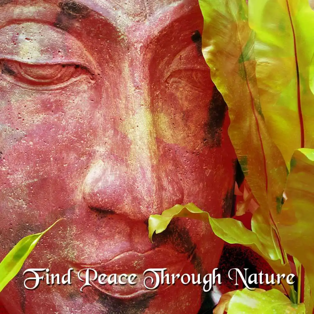 Find Peace Through Nature