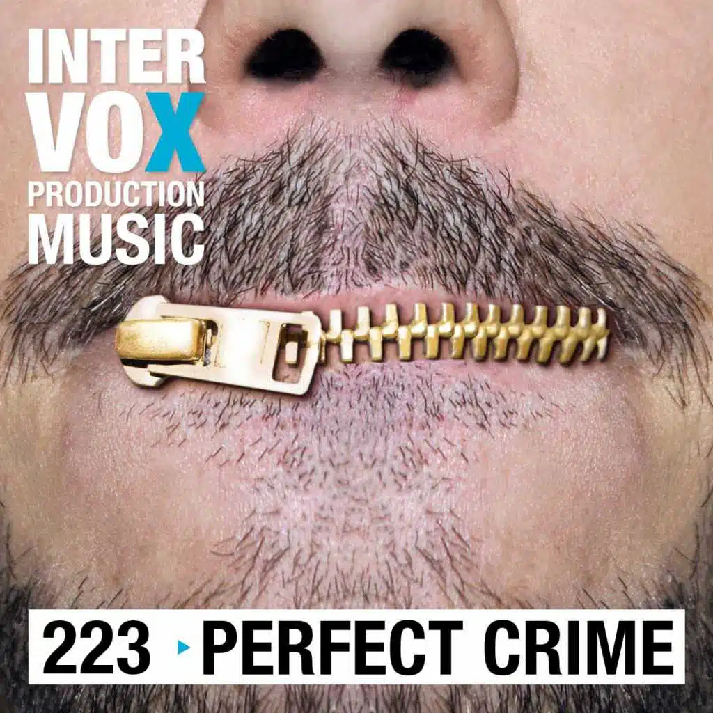 Perfect Crime