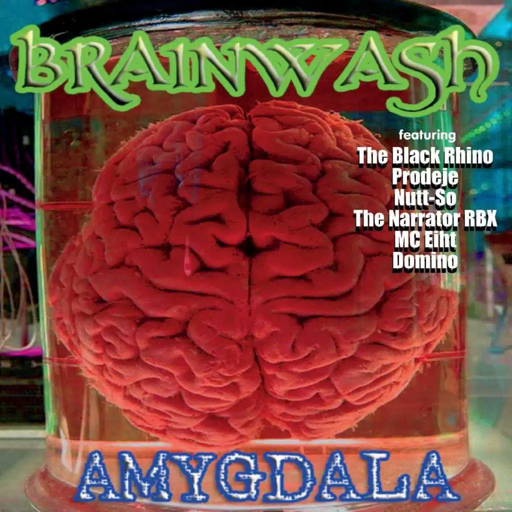 Amygdala