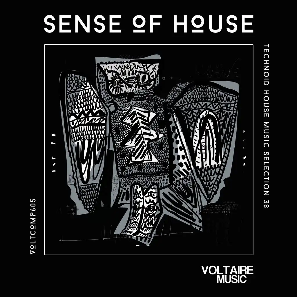 Sense of House, Vol. 38 (Technoid House Music Selection 38)