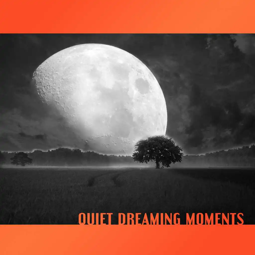 Quiet Dreaming Moments