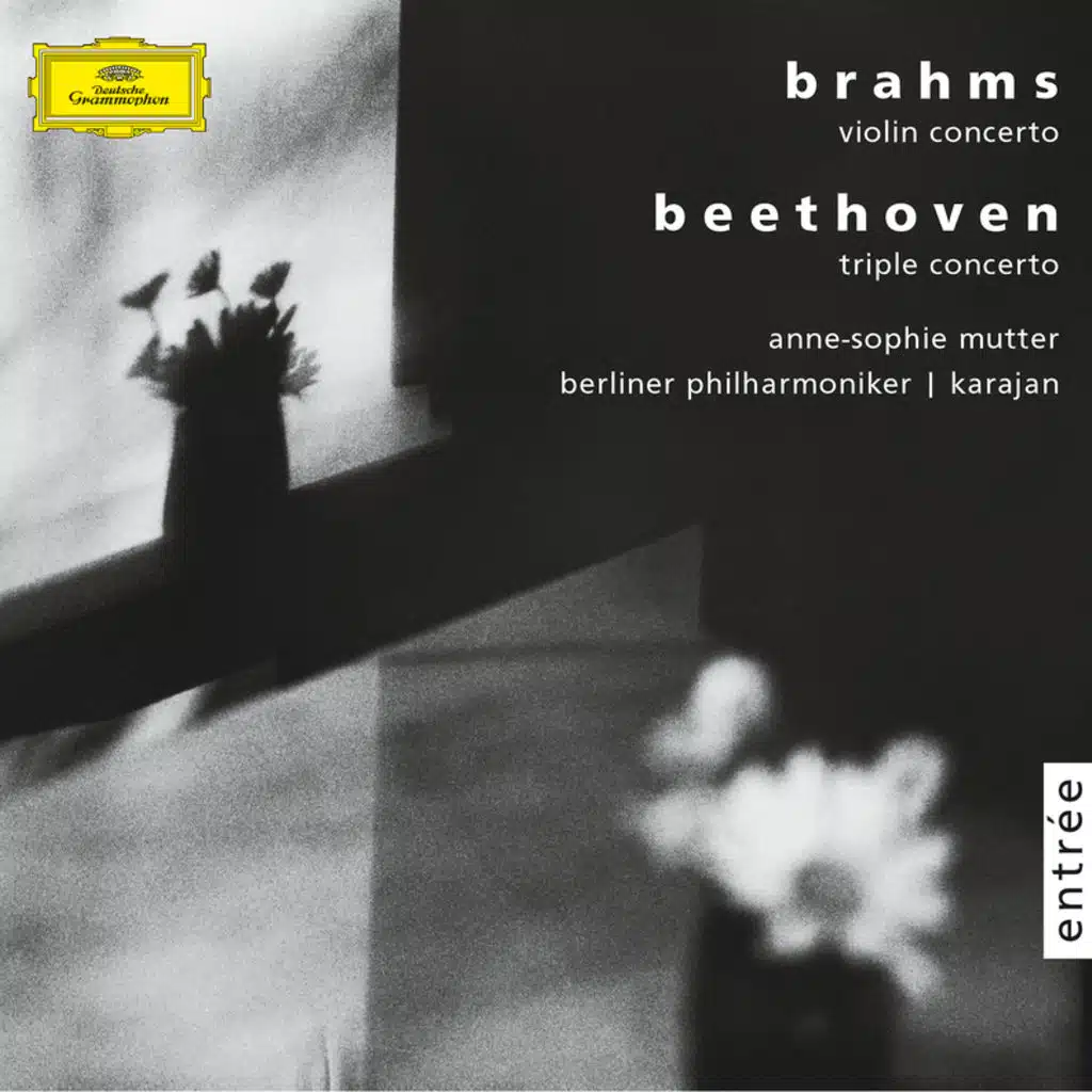 Beethoven: Triple Concerto in C Major, Op. 56: I. Allegro