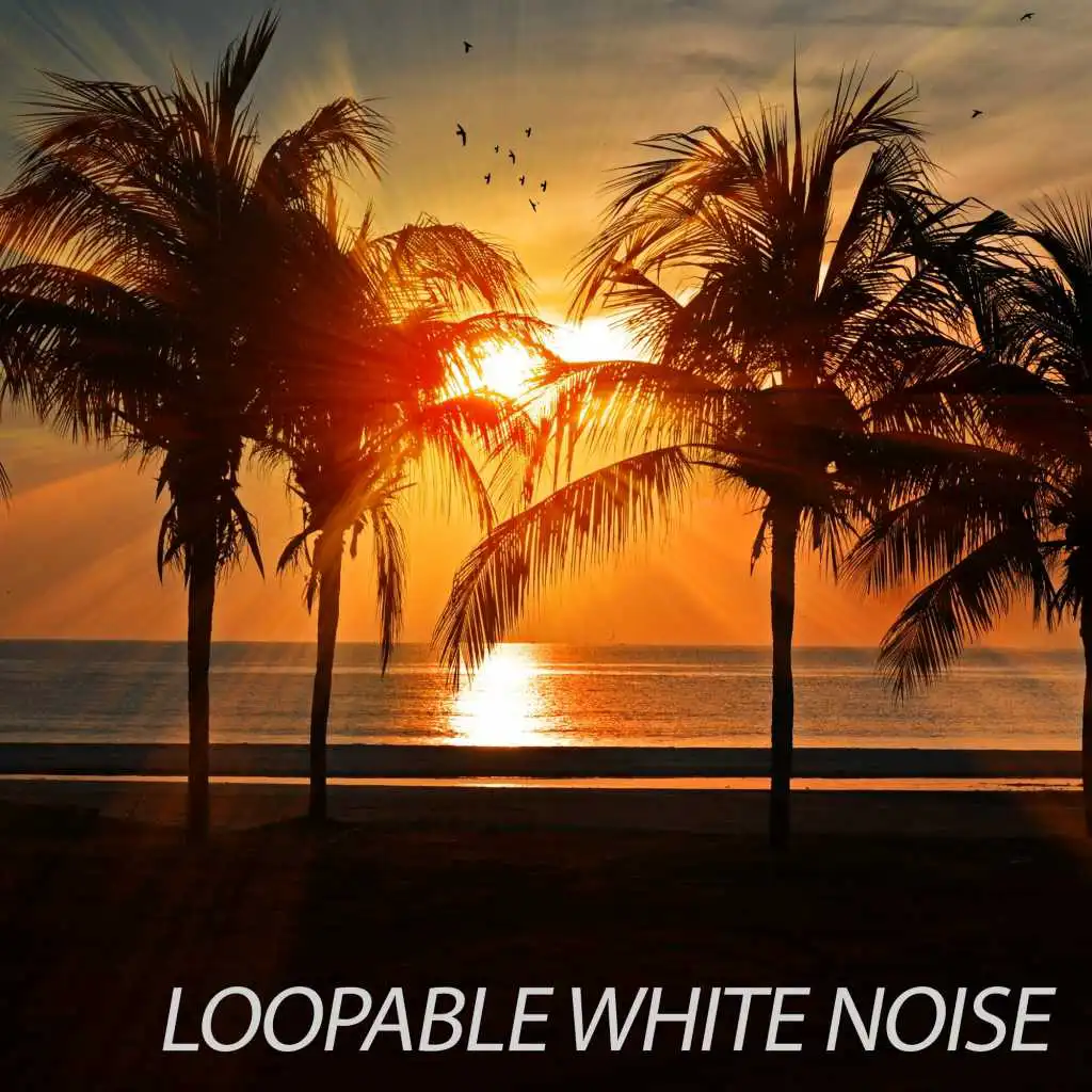 Clean White Noise - Loopable, No Fade (feat. White Noise Sleep Sounds)
