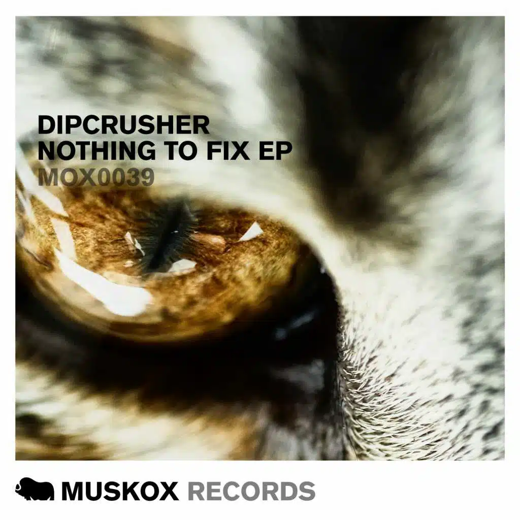 Nothing To Fix EP