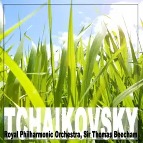 Nutcracker Suite, Op 71a: II. March / Dance Of The Sugar Plum Fairy / Russian Dance / Arabian Dance / Chinese Dance / Dance Of The Reed Pipes