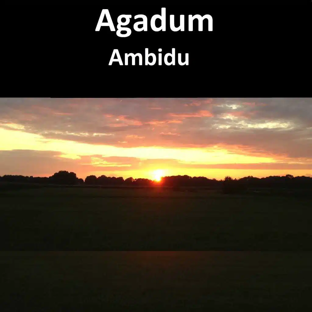 Ambidu