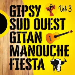 Gipsys, sud-ouest, gitans et manouches fiesta, Vol. 3