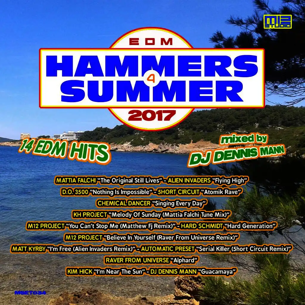 EDM Hammers 4 Summer 2017 (Mixed by Dj Dennis Mann)