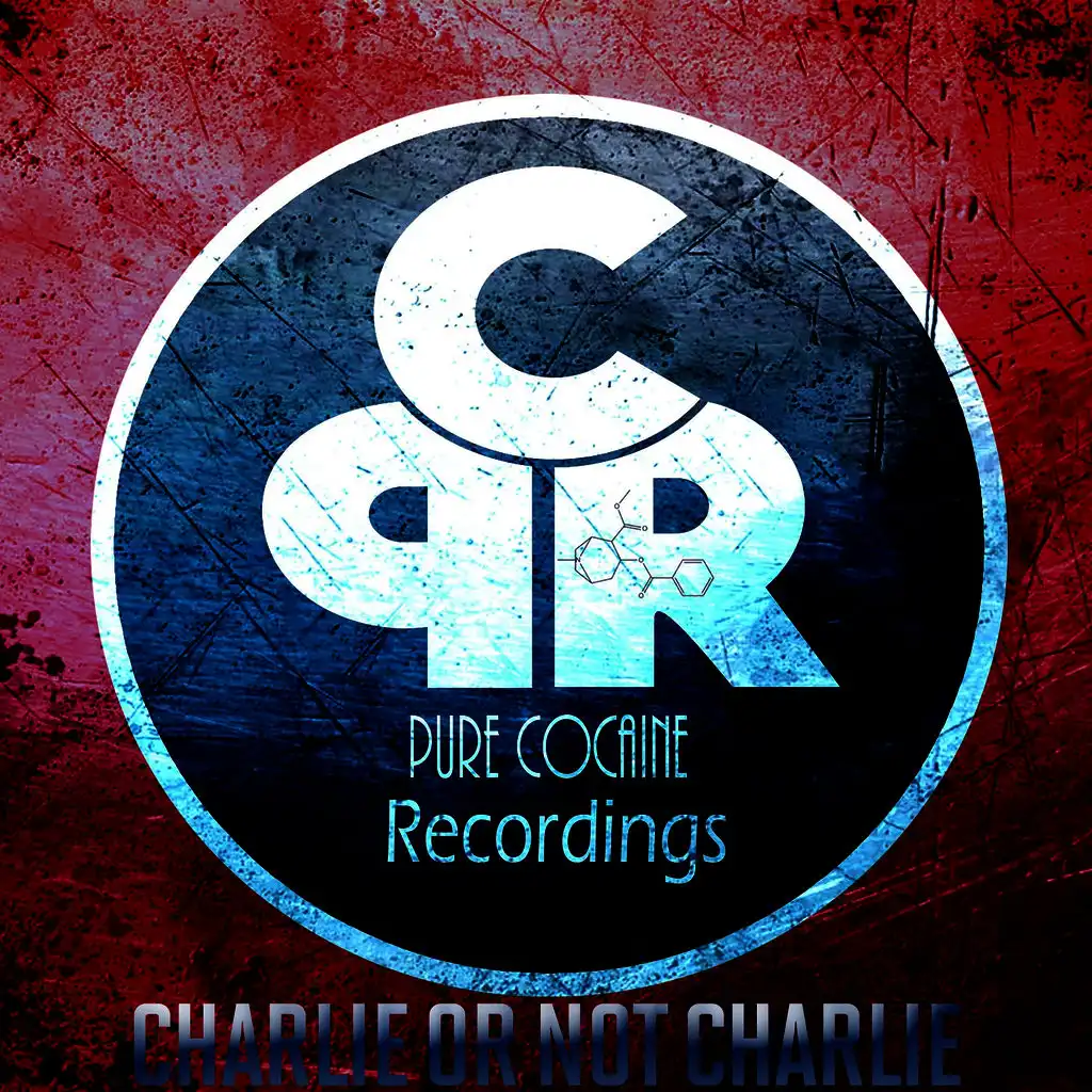 Charlie Or Not Charlie (Original Mix)