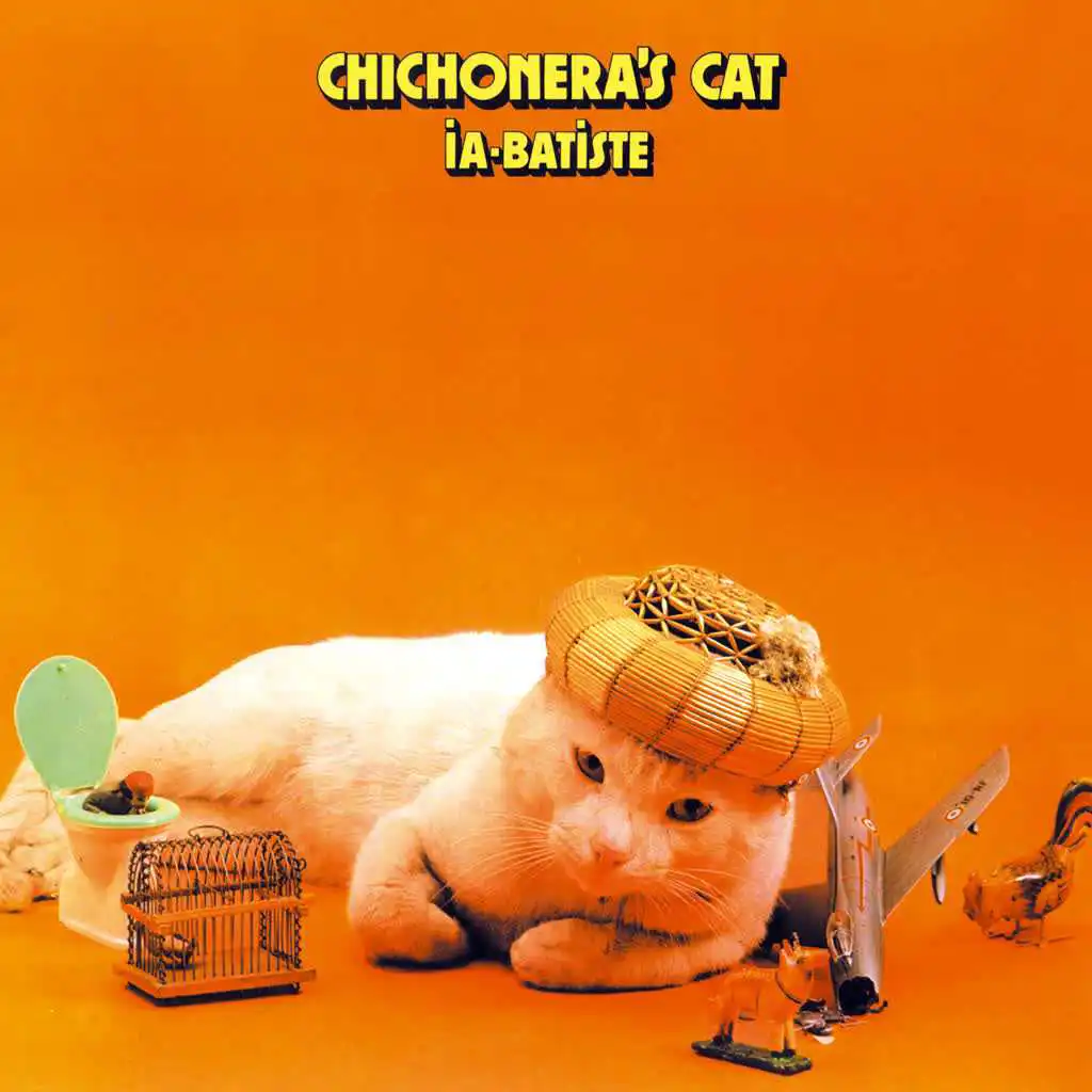 Chichonera's Cat