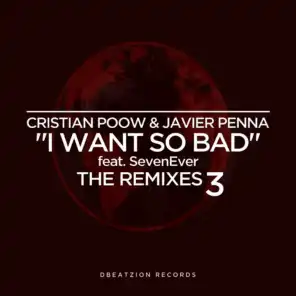 I Want So Bad (The Remixes 3)