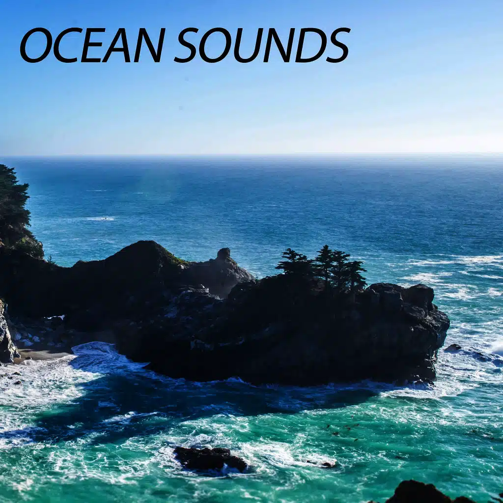 Ocean Sounds