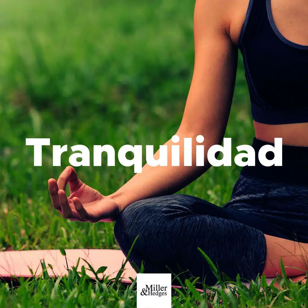 Tranquilidad - Música Soave de Relajación con los Sonidos de la Naturaleza