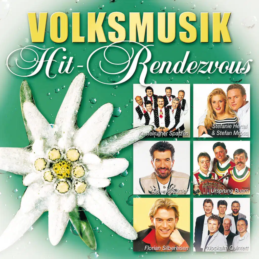 Volksmusik Hit-Rendezvous - Single Version