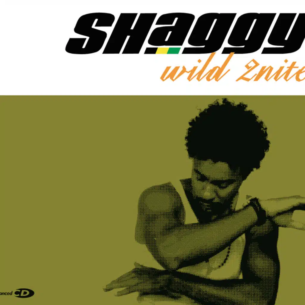 Wild 2Nite (Wild West Mix) [feat. Olivia]