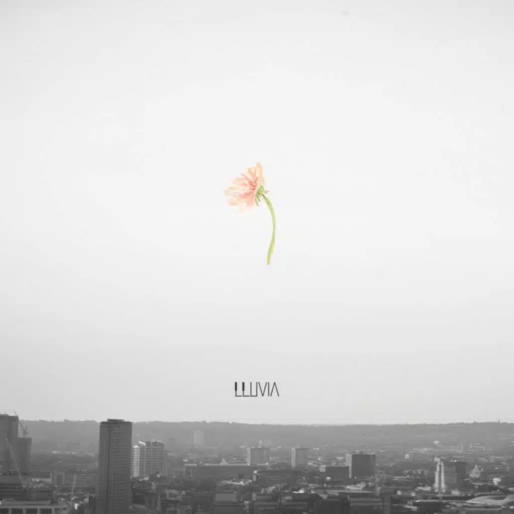 Flower (feat. White Rain)