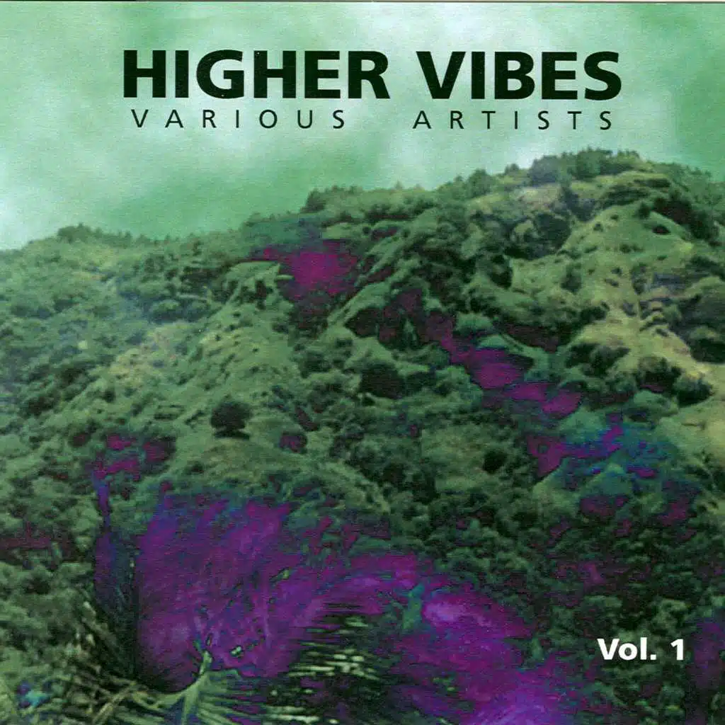 HIGHER VIBES