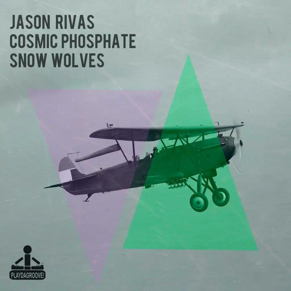 Snow Wolves