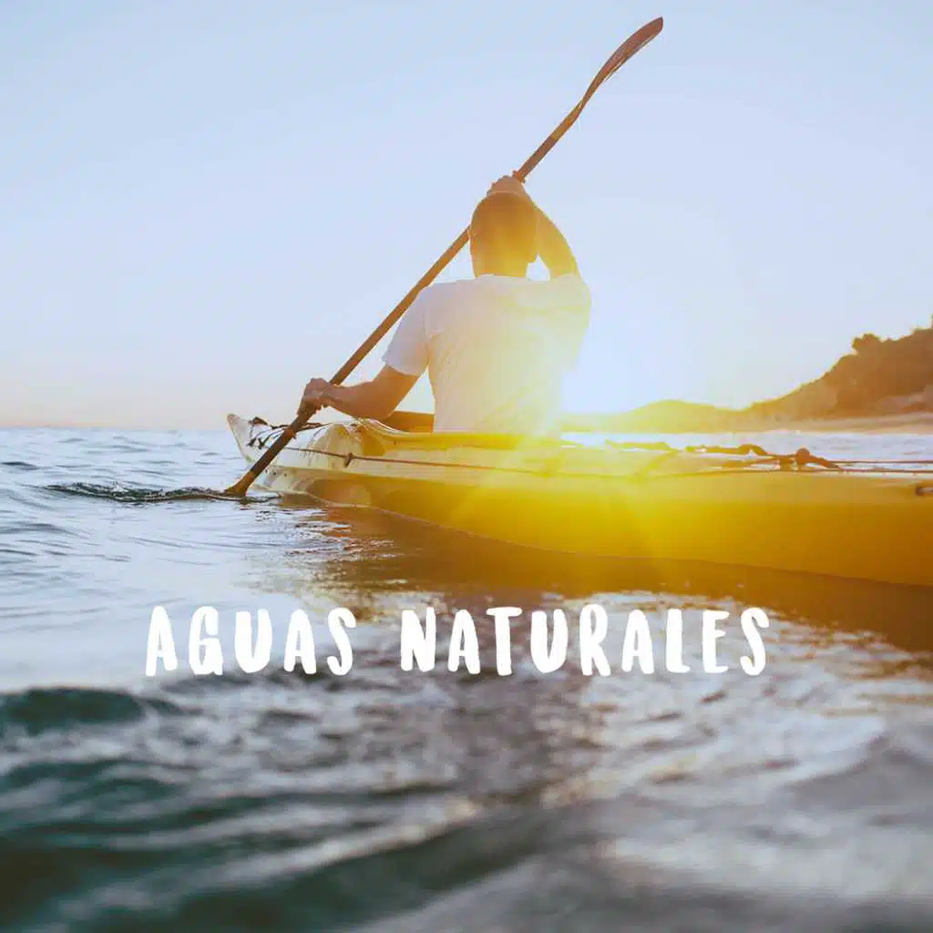 Aguas naturales
