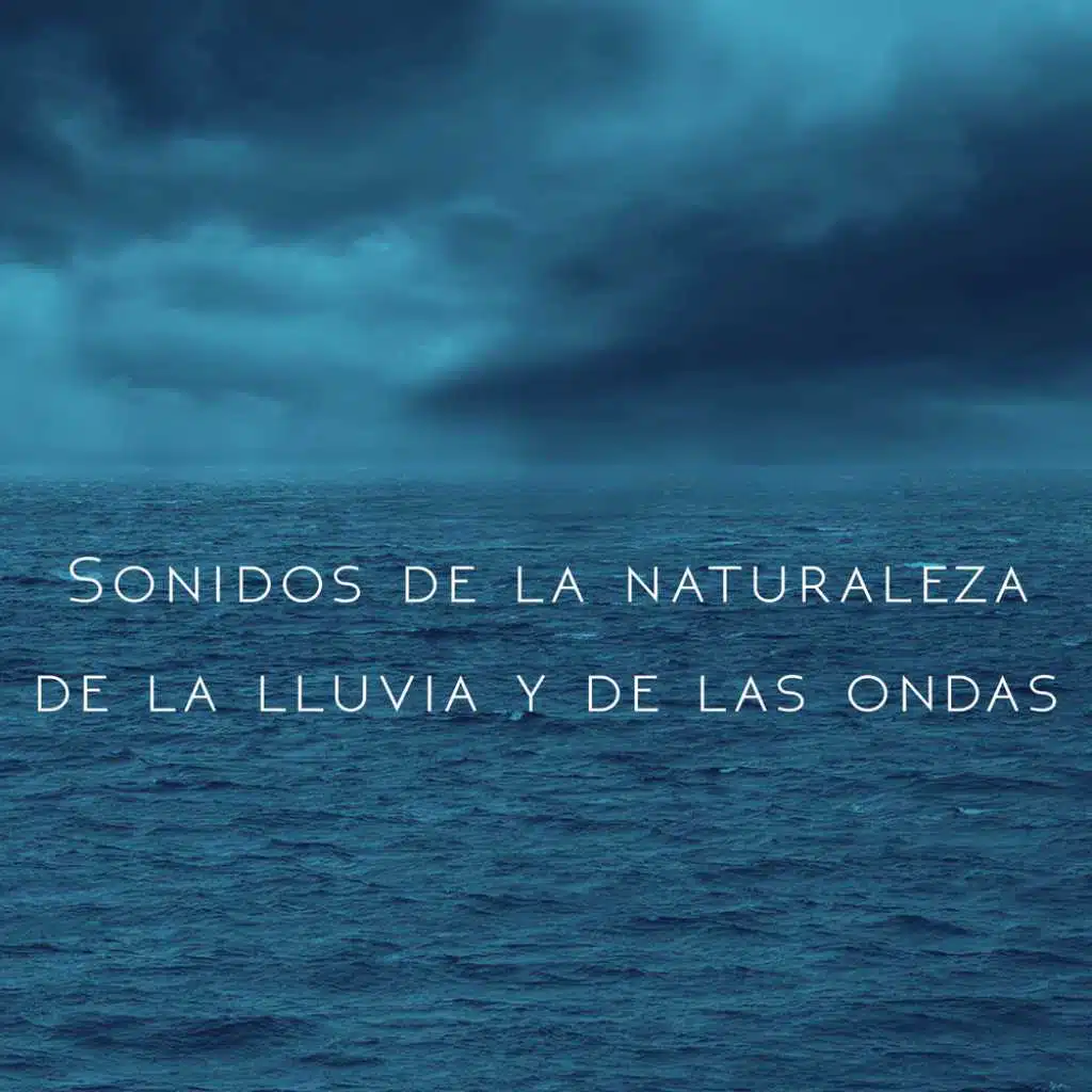 Rain Sound : Seaside