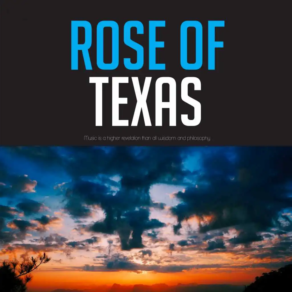 Rose of Texas