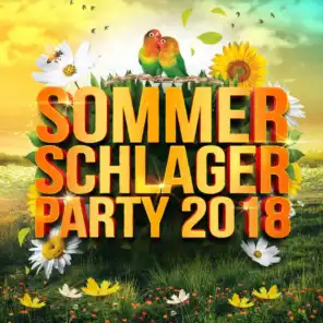 Sommer Schlager Party 2018