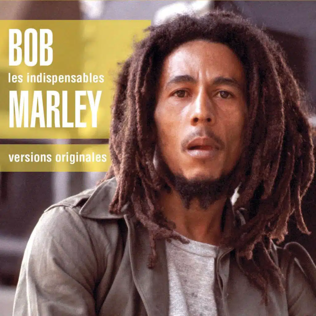 Les Indispensables (feat. Peter Tosh)
