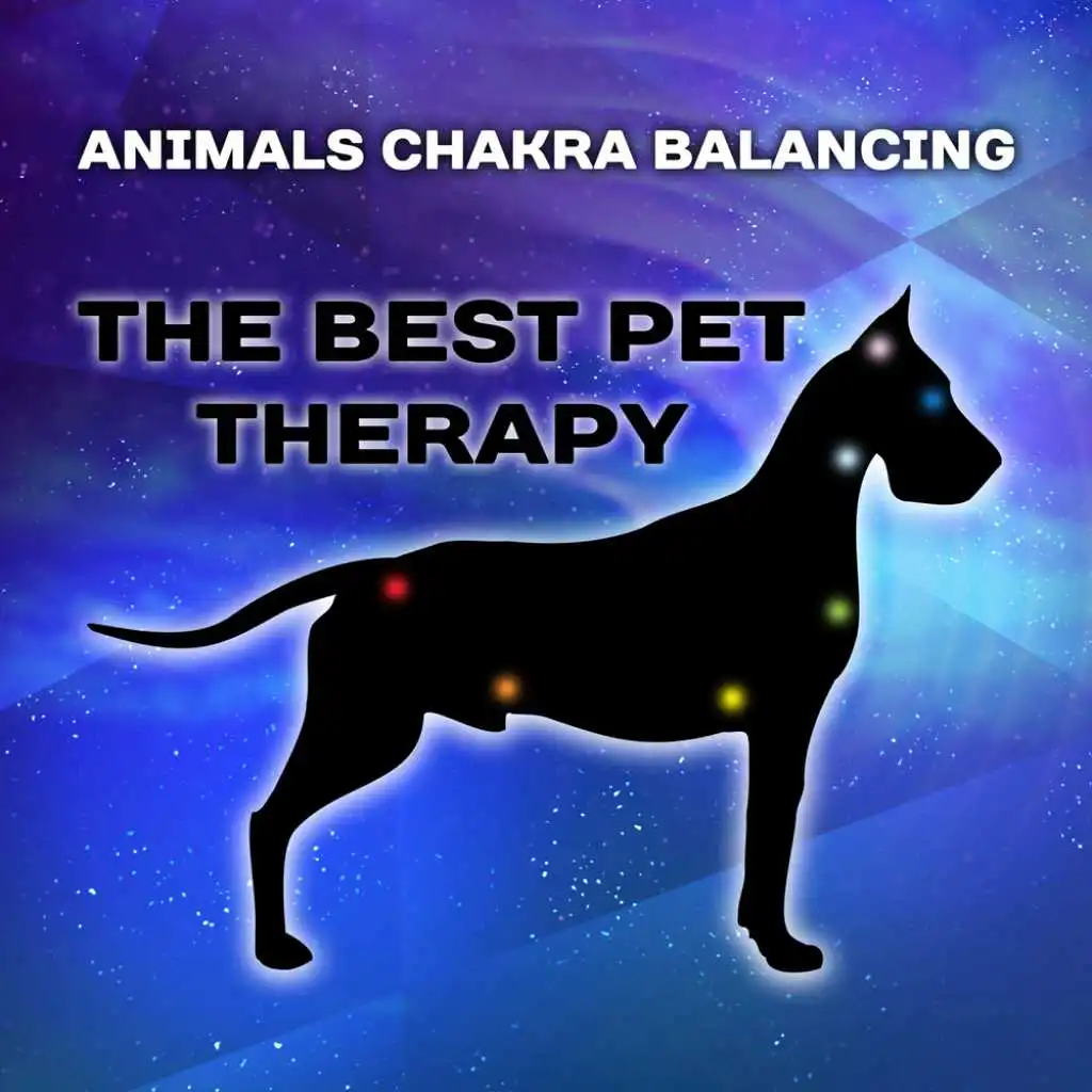 The Best Pet Therapy