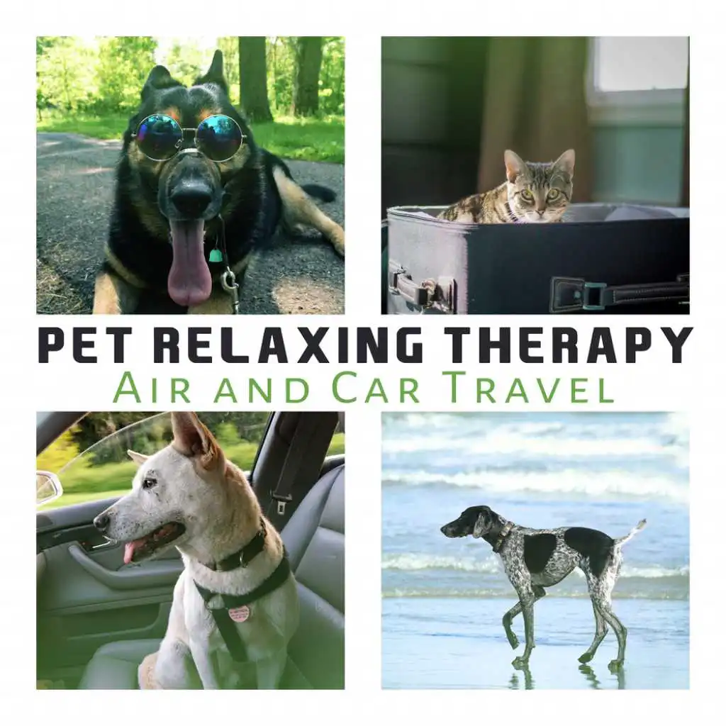 Pet Relaxing Therapy (Air and Car Travel)