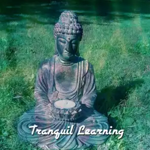 Asian Zen Spa Music Meditation, Zen Music Garden, Massage Therapy Music