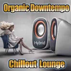 Hybrid Organic Downtempo Chillout Lounge