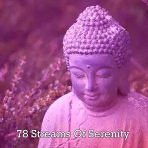 78 Streams Of Serenity