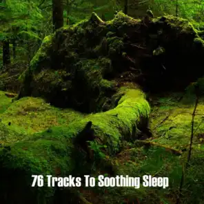 Relax Meditate Sleep, Nature Sound Series, Rain Sounds Sleep