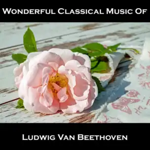 Wonderful Classical Music Of Ludwig Van Beethoven