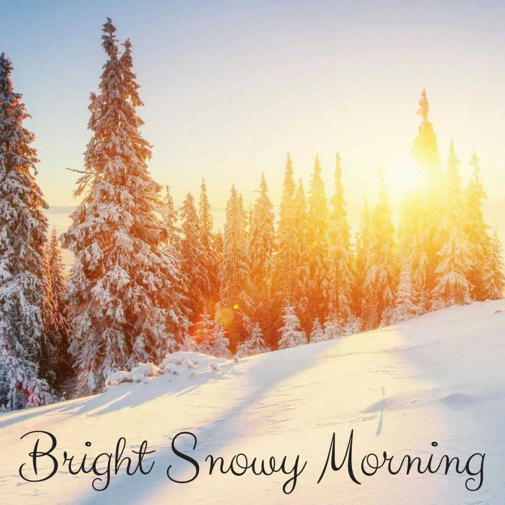 Bright Snowy Morning