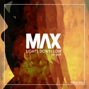Lights Down Low (Riddler Remix) [feat. gnash]