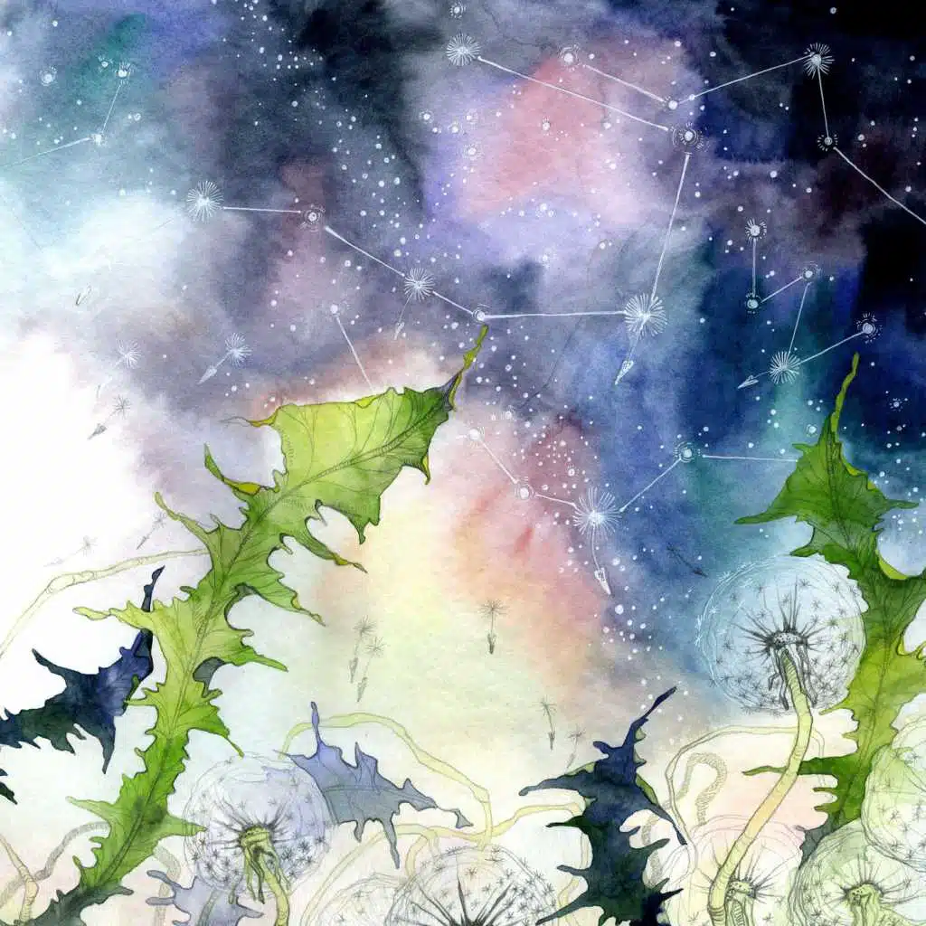 Facundo Mohrr & Valdovinos