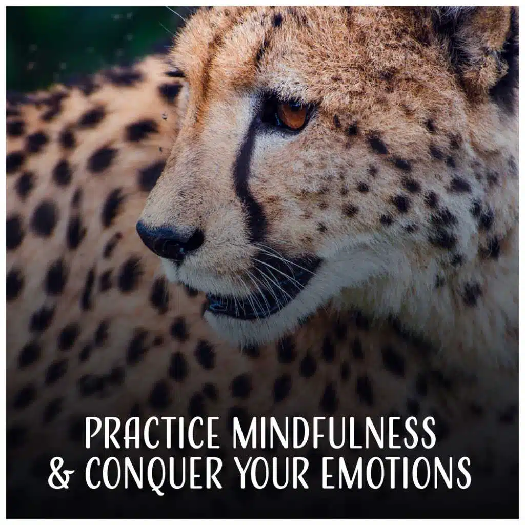 Meditation Buddhist Chants