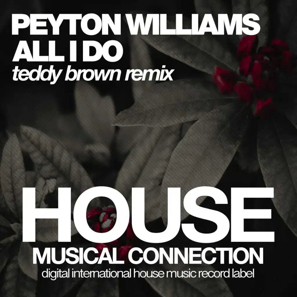 All I Do (Teddy Brown Remix)
