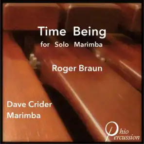 Roger Braun: Time Being
